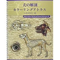 91+PhmJRJcL._AC_UL210_SR210,